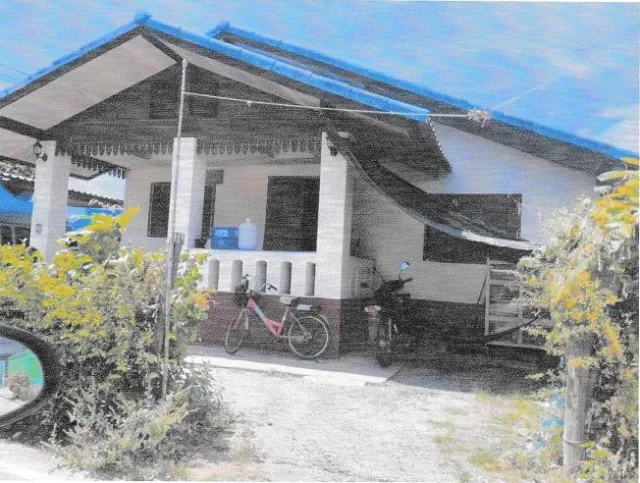 ขายทอดตลาด ที่ดินพร้อมสิ่งปลูกสร้าง ต.ศรีเตี้ย อ.บ้านโฮ่ง จ.ลำพูน