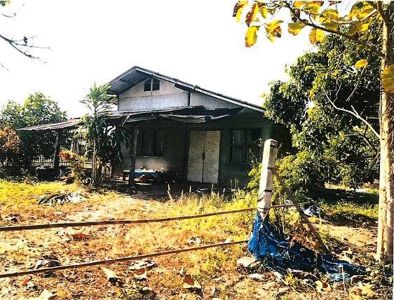 ขายทอดตลาด ที่ดินพร้อมสิ่งปลูกสร้าง ต.น้ำดิบ อ.ป่าซาง จ.ลำพูน