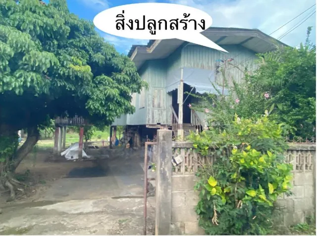 ขายทอดตลาด ที่ดินพร้อมสิ่งปลูกสร้าง ต.ปากบ่อง อ.ป่าซาง จ.ลำพูน