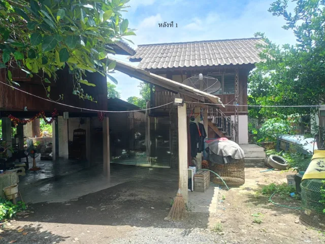 ขายทอดตลาด ที่ดินพร้อมสิ่งปลูกสร้าง ต.ริมปิง อ.เมืองลำพูน จ.ลำพูน