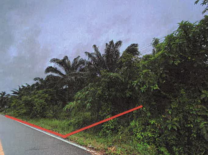 ขายทอดตลาด ที่ดินว่างเปล่า จ.ตรัง