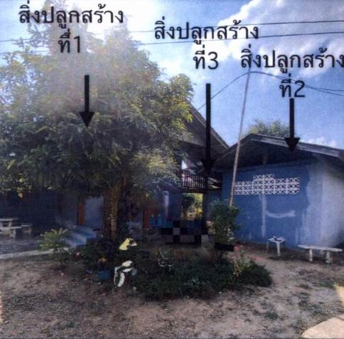 ขายทอดตลาด ที่ดินพร้อมสิ่งปลูกสร้าง ต.ท่าตุ้ม อ.ป่าซาง จ.ลำพูน