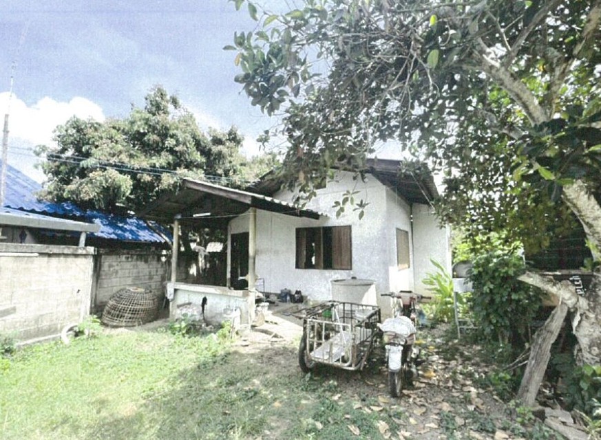 ขายทอดตลาด ที่ดินพร้อมสิ่งปลูกสร้าง ต.บ้านเรือน อ.ป่าซาง จ.ลำพูน