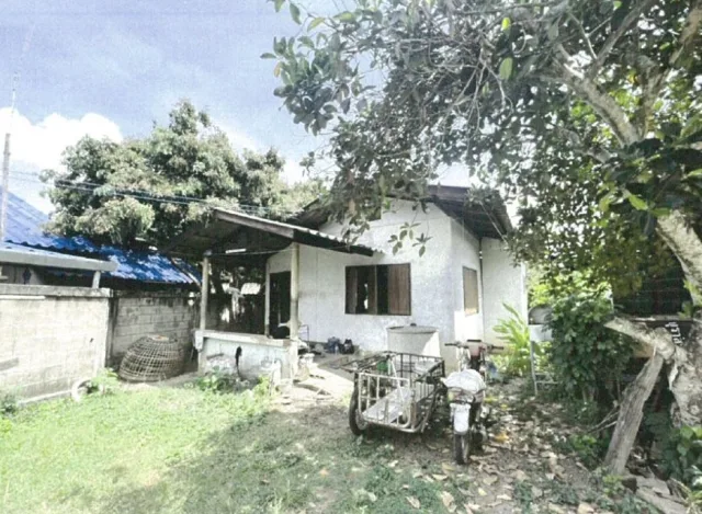 ขายทอดตลาด ที่ดินพร้อมสิ่งปลูกสร้าง ต.บ้านเรือน อ.ป่าซาง จ.ลำพูน