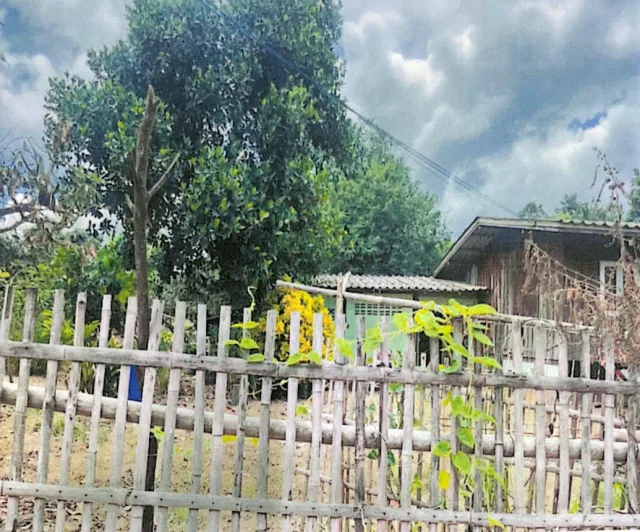 ขายทอดตลาด ที่ดินพร้อมสิ่งปลูกสร้าง ต.ลี้ อ.ลี้ จ.ลำพูน