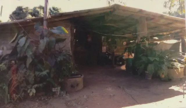 ขายทอดตลาด ที่ดินพร้อมสิ่งปลูกสร้าง ต.ทาขุมเงิน อ.แม่ทา จ.ลำพูน