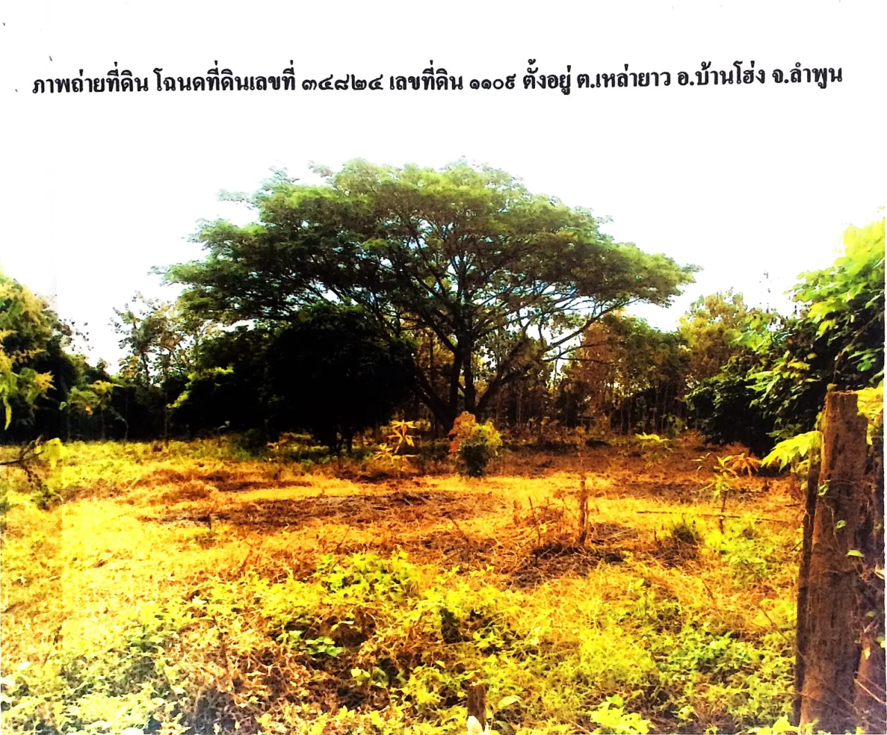 ขายทอดตลาด ที่ดินว่างเปล่า ต.เหล่ายาว อ.บ้านโฮ่ง จ.ลำพูน