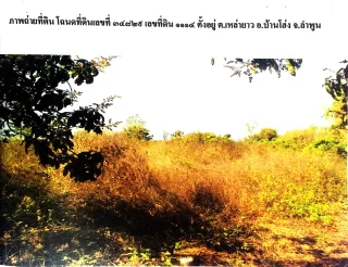 รูปทรัพย์ 3