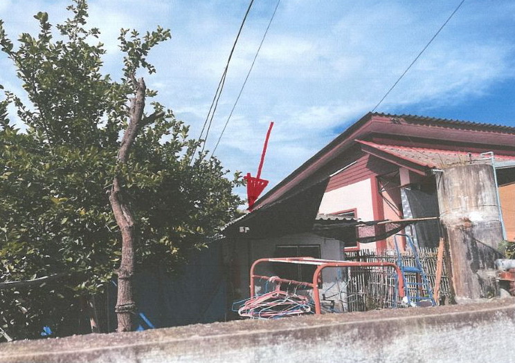 ขายทอดตลาด ที่ดินพร้อมสิ่งปลูกสร้าง ต.ต้นธง อ.เมืองลำพูน จ.ลำพูน
