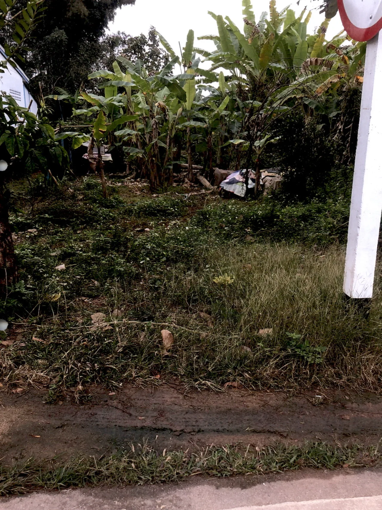 ขายทอดตลาด ที่ดินว่างเปล่า ต.เวียงชัย อ.เวียงชัย จ.เชียงราย