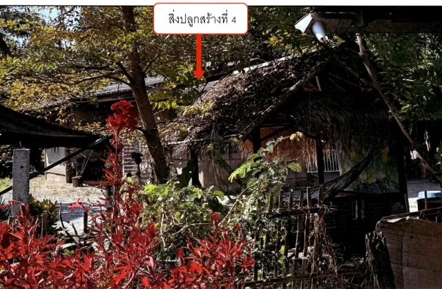 ขายทอดตลาด ที่ดินพร้อมสิ่งปลูกสร้าง ต.นครเจดีย์ อ.ป่าซาง จ.ลำพูน