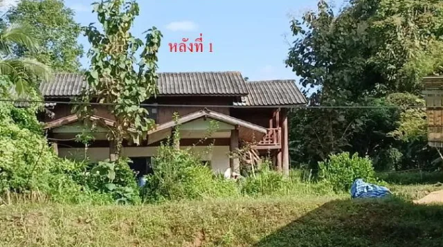 ขายทอดตลาด ที่ดินพร้อมสิ่งปลูกสร้าง ต.ตะเคียนปม อ.ทุ่งหัวช้าง จ.ลำพูน