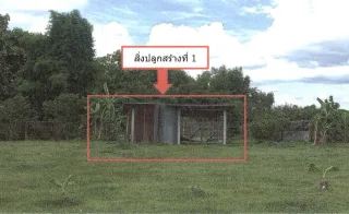 รูปทรัพย์ 1