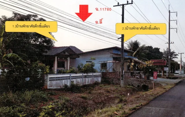 ขายทอดตลาด ที่ดินพร้อมสิ่งปลูกสร้าง ต.ป่าไผ่ อ.ลี้ จ.ลำพูน