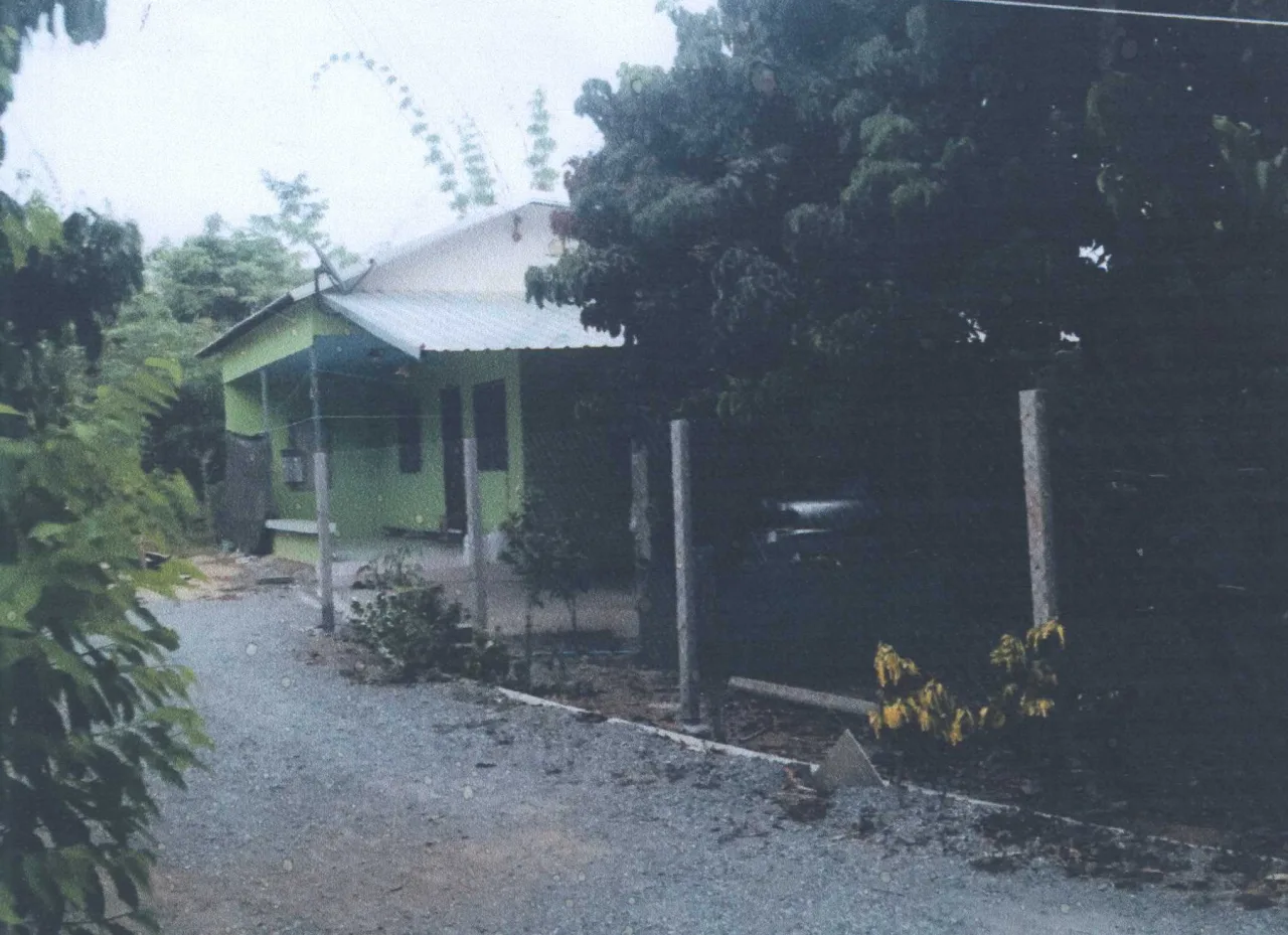 ขายทอดตลาด ที่ดินพร้อมสิ่งปลูกสร้าง ต.บ้านโฮ่ง อ.บ้านโฮ่ง จ.ลำพูน