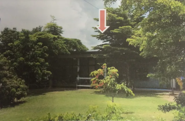 ขายทอดตลาด ที่ดินพร้อมสิ่งปลูกสร้าง ต.ท่าตุ้ม อ.ป่าซาง จ.ลำพูน