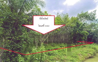 ขายทอดตลาด ที่ดินว่างเปล่า ต.โคกสะบ้า อ.นาโยง จ.ตรัง