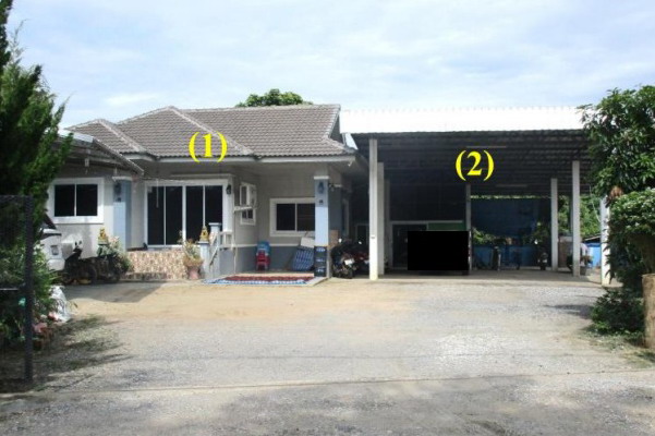 ขายทอดตลาด ที่ดินพร้อมสิ่งปลูกสร้าง ต.ท่าตุ้ม อ.ป่าซาง จ.ลำพูน