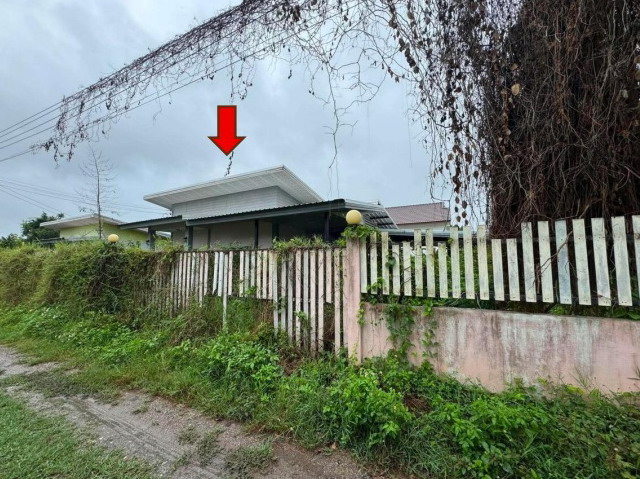 ขายทอดตลาด ที่ดินพร้อมสิ่งปลูกสร้าง ต.ป่าสัก อ.เมืองลำพูน จ.ลำพูน