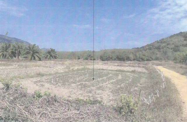 ขายทอดตลาด ที่ดินว่างเปล่า จ.เลย