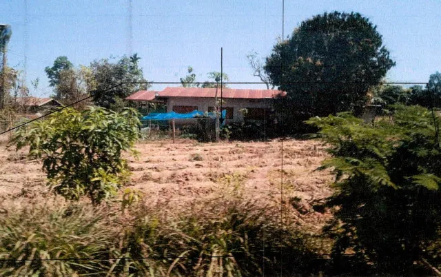 ขายทอดตลาด ที่ดินพร้อมสิ่งปลูกสร้าง ต.ท่าลี่ อ.ท่าลี่ จ.เลย