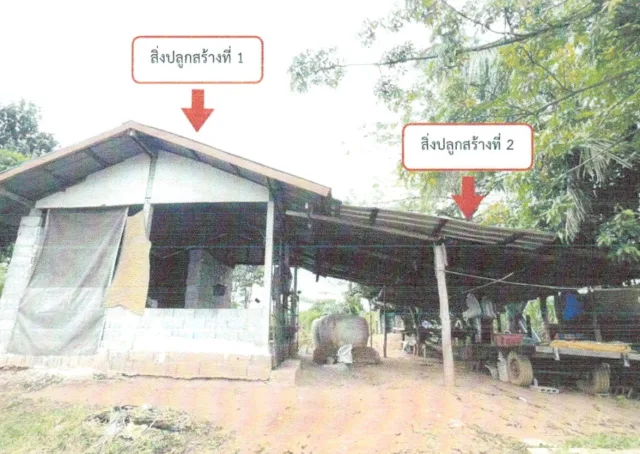 ขายทอดตลาด ที่ดินพร้อมสิ่งปลูกสร้าง ต.ปวนพุ อ.หนองหิน จ.เลย