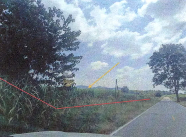 ขายทอดตลาด ที่ดินพร้อมสิ่งปลูกสร้าง จ.เลย