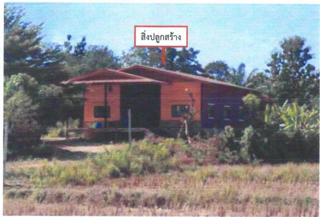 ขายทอดตลาด ที่ดินพร้อมสิ่งปลูกสร้าง ต.นาซ่าว อ.เชียงคาน จ.เลย