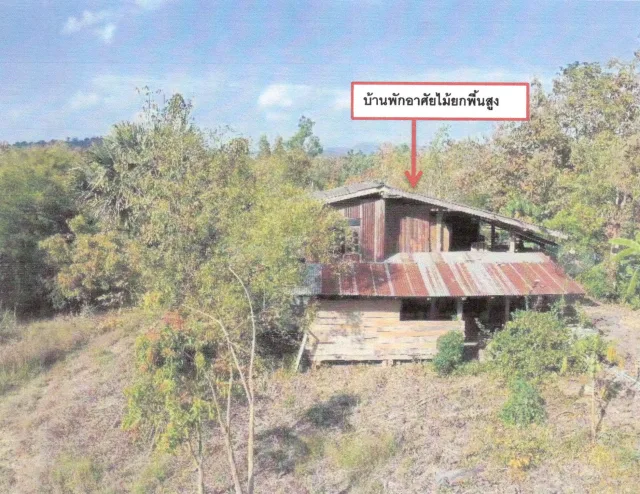 ขายทอดตลาด ที่ดินพร้อมสิ่งปลูกสร้าง ต.ผานกเค้า อ.ภูกระดึง จ.เลย