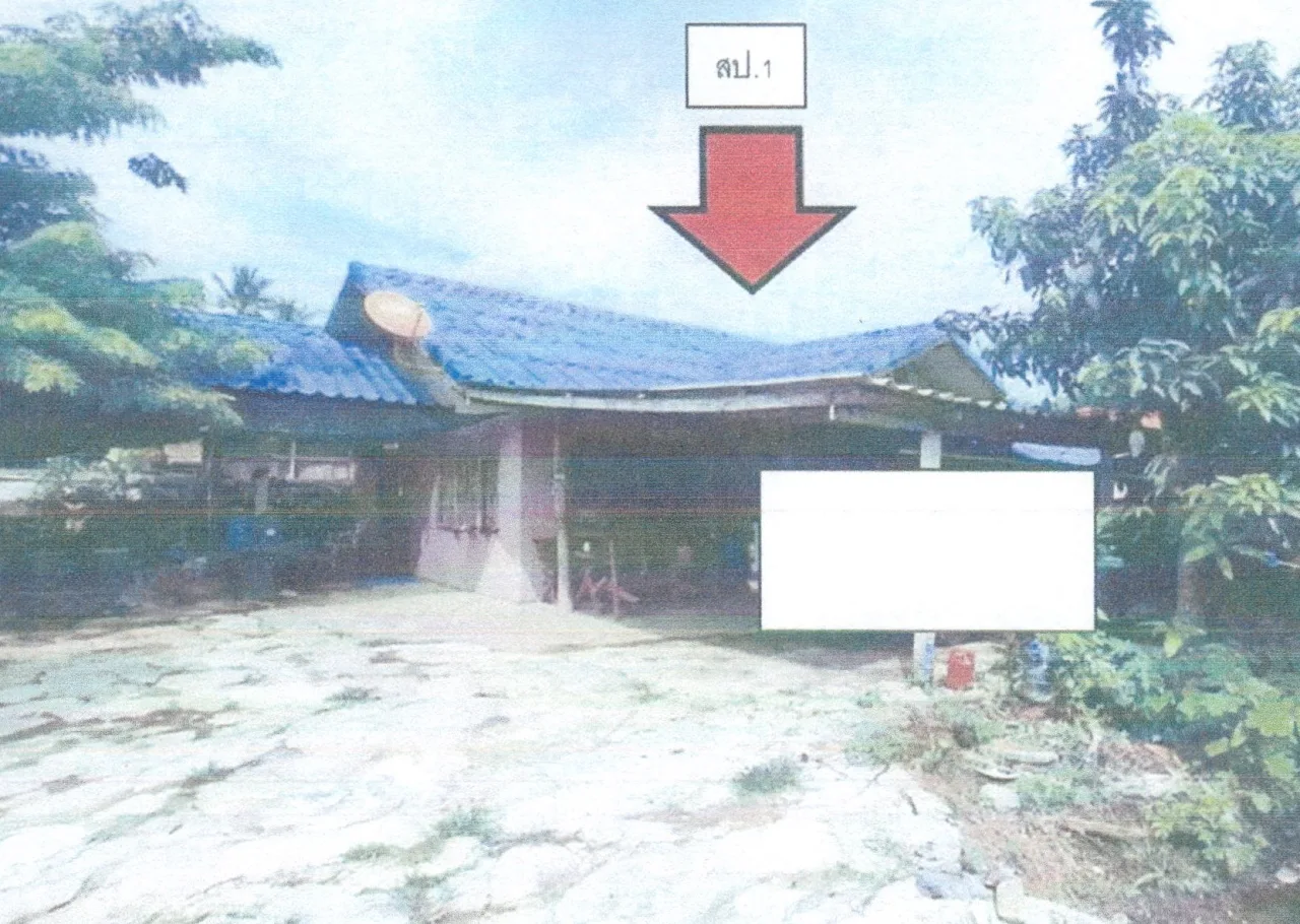 ขายทอดตลาด ที่ดินพร้อมสิ่งปลูกสร้าง ต.จอมศรี อ.เชียงคาน จ.เลย
