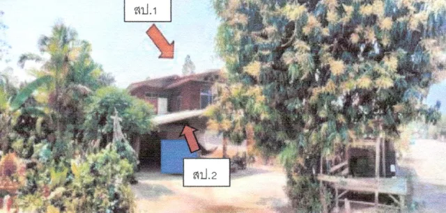 ขายทอดตลาด ที่ดินพร้อมสิ่งปลูกสร้าง ต.เขาหลวง อ.วังสะพุง จ.เลย