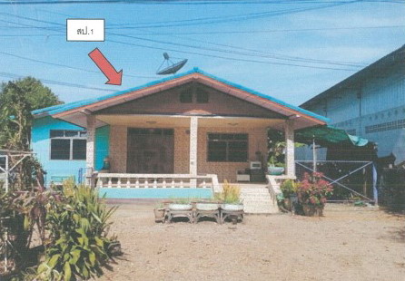 ขายทอดตลาด ที่ดินพร้อมสิ่งปลูกสร้าง ต.เชียงกลม อ.ปากชม จ.เลย