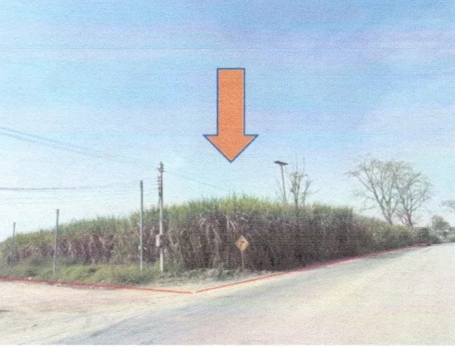 ขายทอดตลาด ที่ดินว่างเปล่า จ.เลย