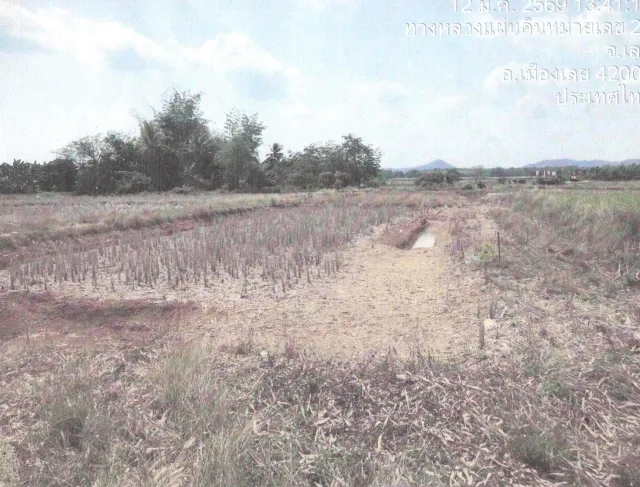 ขายทอดตลาด ที่ดินว่างเปล่า จ.เลย