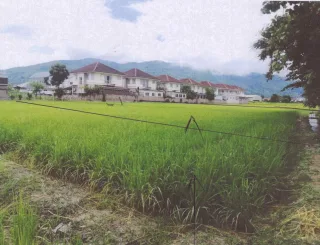 รูปทรัพย์ 2