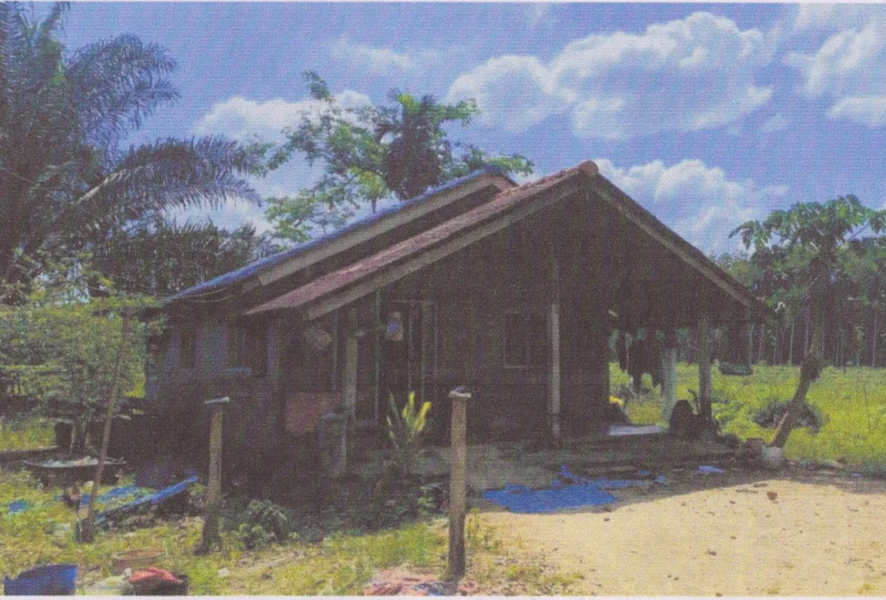 ขายทอดตลาด ที่ดินพร้อมสิ่งปลูกสร้าง ต.ท่าสะบ้า อ.วังวิเศษ จ.ตรัง