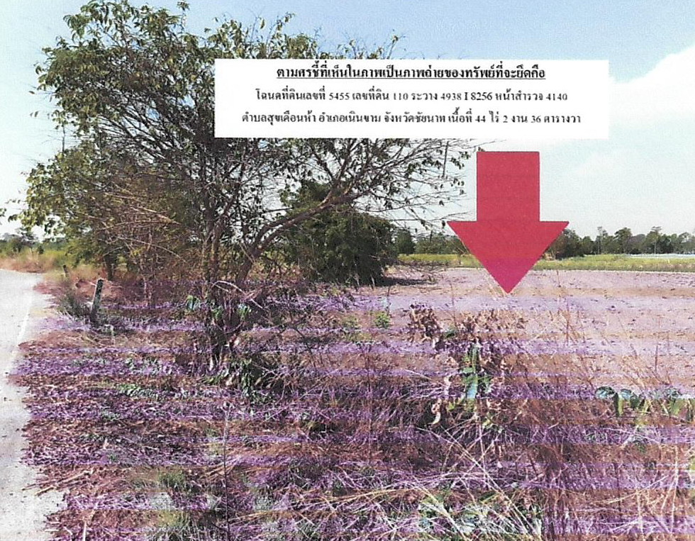 ขายทอดตลาด ที่ดินว่างเปล่า ต.สุขเดือนห้า อ.เนินขาม จ.ชัยนาท