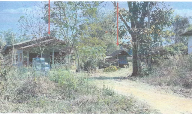 ขายทอดตลาด ที่ดินพร้อมสิ่งปลูกสร้าง ต.เขาแก้ว อ.เชียงคาน จ.เลย