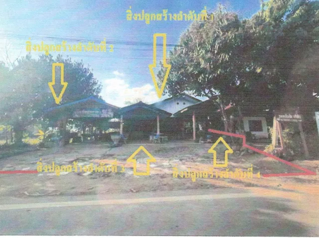 ขายทอดตลาด ที่ดินพร้อมสิ่งปลูกสร้าง ต.ทรายขาว อ.วังสะพุง จ.เลย