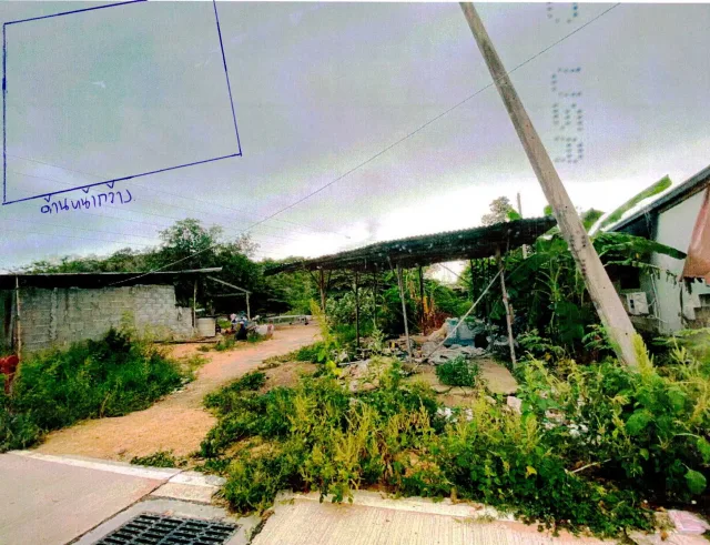 ขายทอดตลาด ที่ดินว่างเปล่า ต.หนองปรือ อ.บางละมุง จ.ชลบุรี