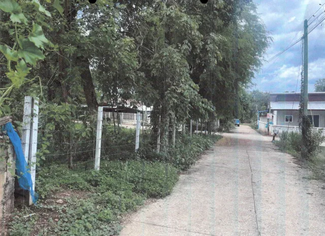 ขายทอดตลาด ที่ดินว่างเปล่า จ.เลย
