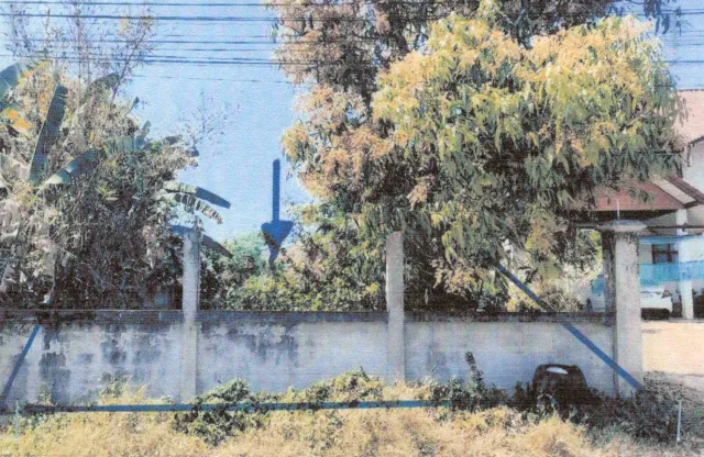 ขายทอดตลาด ที่ดินว่างเปล่า จ.เลย