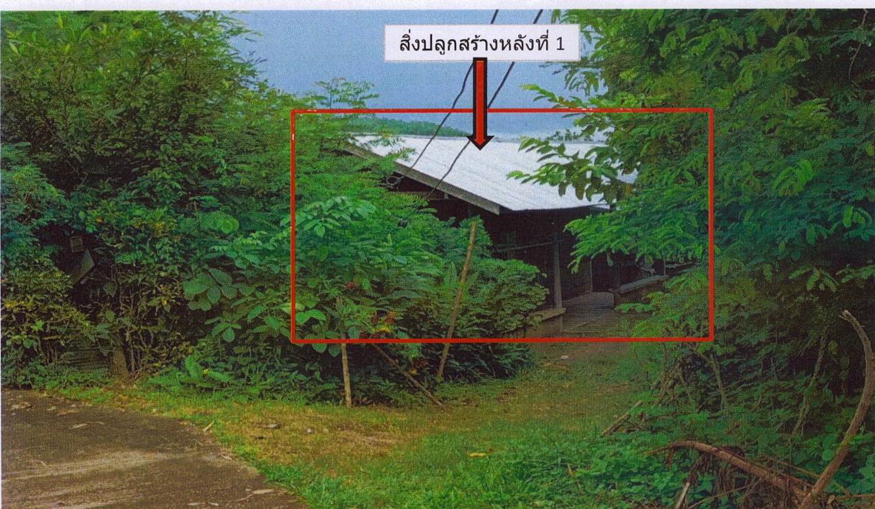 ขายทอดตลาด ที่ดินพร้อมสิ่งปลูกสร้าง ต.สันทราย อ.แม่จัน จ.เชียงราย