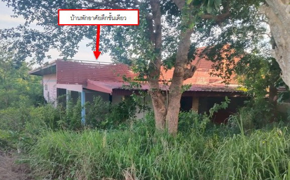 ขายทอดตลาด ที่ดินพร้อมสิ่งปลูกสร้าง ต.โป่ง อ.บางละมุง จ.ชลบุรี