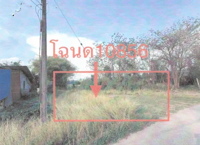 ขายทอดตลาด ที่ดินว่างเปล่า จ.เลย
