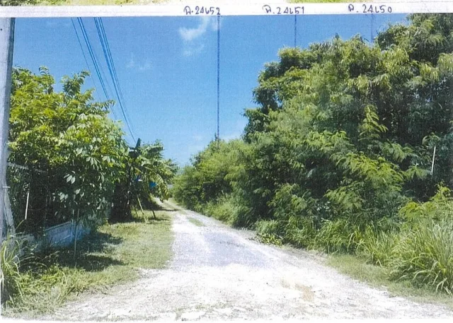 ขายทอดตลาด ที่ดินว่างเปล่า ต.พลูตาหลวง อ.สัตหีบ จ.ชลบุรี