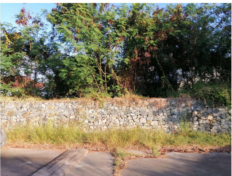 ขายทอดตลาด ที่ดินพร้อมสิ่งปลูกสร้าง ต.หนองปรือ อ.บางละมุง จ.ชลบุรี