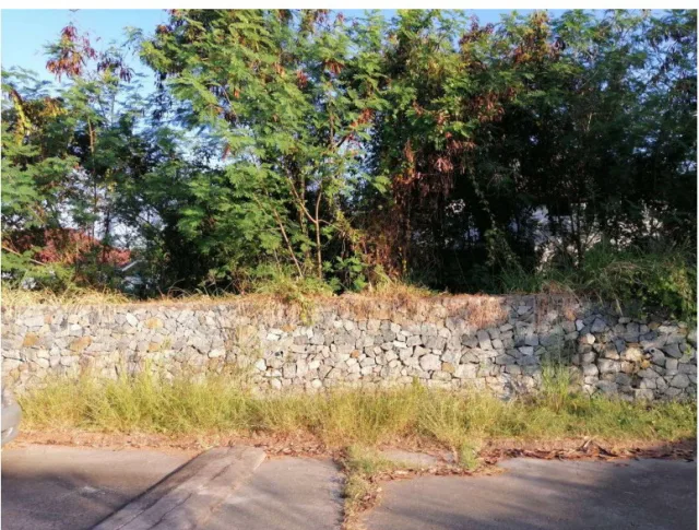ขายทอดตลาด ที่ดินพร้อมสิ่งปลูกสร้าง ต.หนองปรือ อ.บางละมุง จ.ชลบุรี