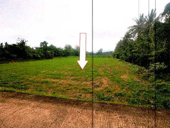 ขายทอดตลาด ที่ดินว่างเปล่า จ.เลย