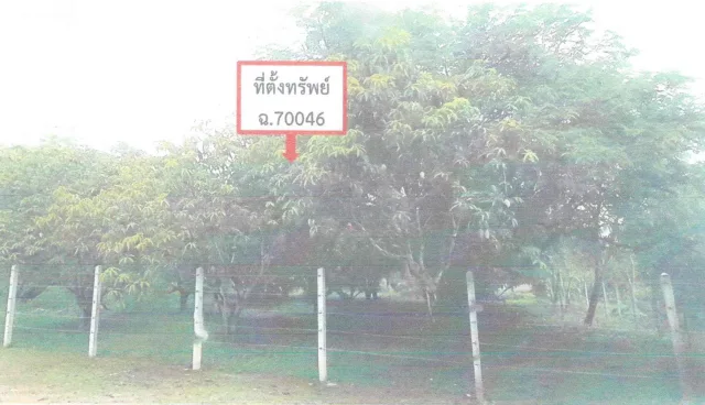 ขายทอดตลาด ที่ดินพร้อมสิ่งปลูกสร้าง ต.ปากปวน อ.วังสะพุง จ.เลย